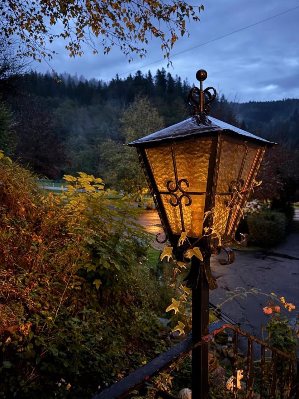 Be Me Black Forest Family Apartment -Zum Letzten G'Stehr Bad Rippoldsau-Schapbach Exteriör bild