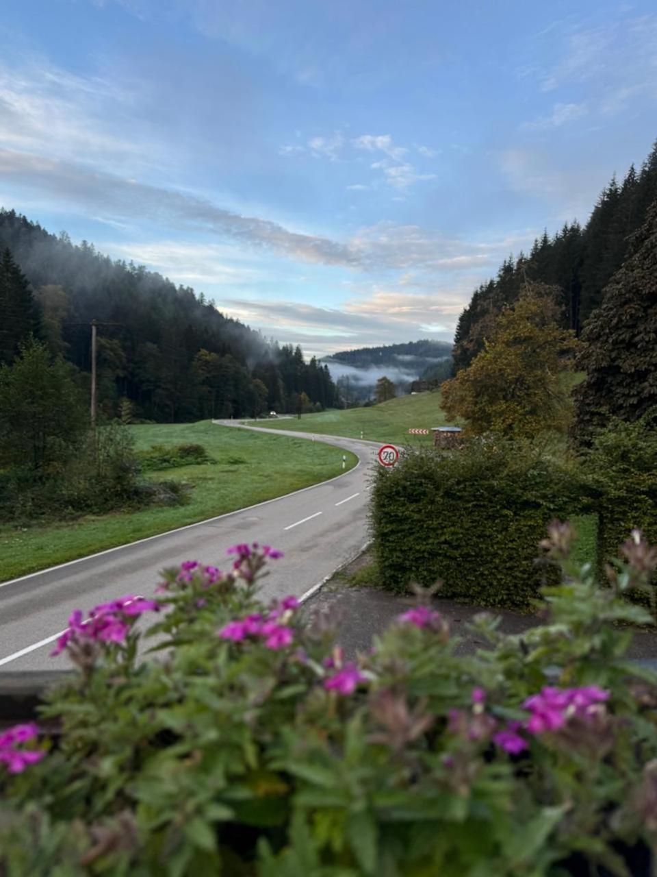 Be Me Black Forest Family Apartment -Zum Letzten G'Stehr Bad Rippoldsau-Schapbach Exteriör bild